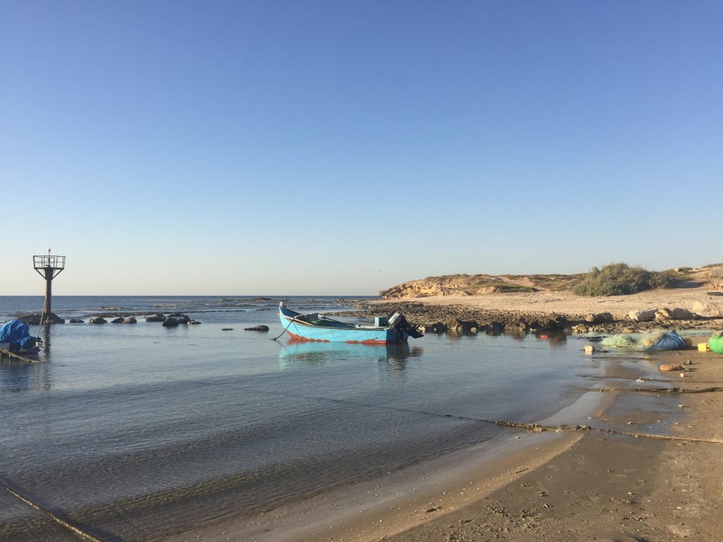 ג׳סר א-זרקא – מבט אל החוף (צילום: צוות הקורס)